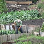 Comment avoir un beau jardin fertile