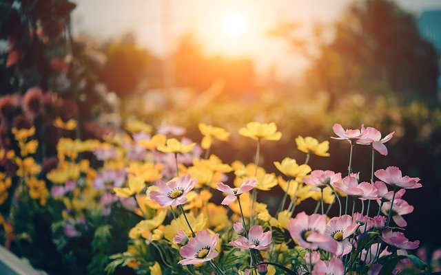 Comment aménager un jardin moderne – les 10 conseils les plus importants que vous devez absolument connaître