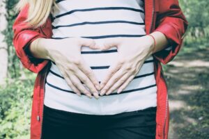 Les étapes du développement fœtal