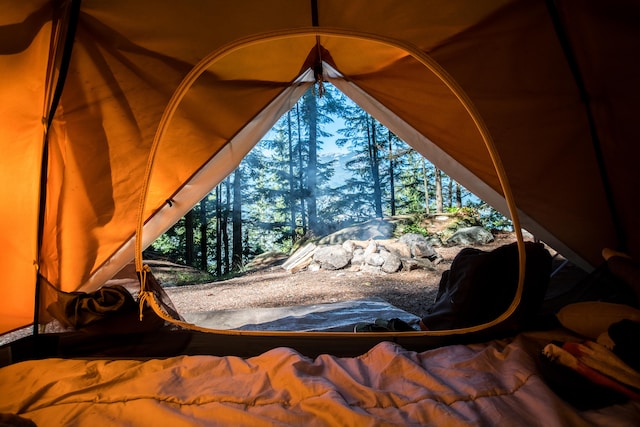 Aventures en camping : vivre la nature de près