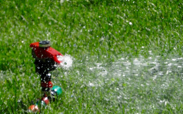 Comment économiser de l’eau dans votre jardin : conseils pratiques