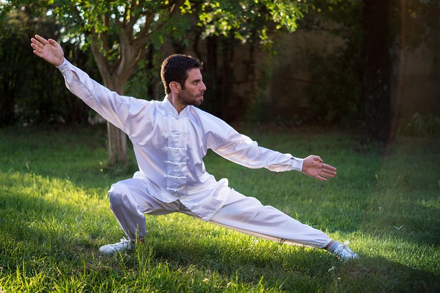 Le tai chi