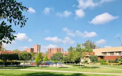 Green bull campus
