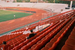 Geoffroy-Guichard