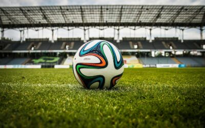 Geoffroy-Guichard