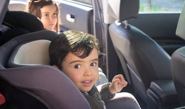 réhausseurs de voiture