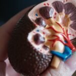 Insuffisance rénale