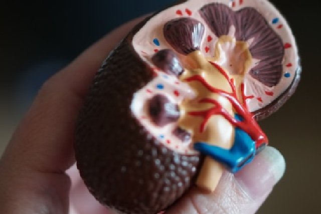 Insuffisance rénale