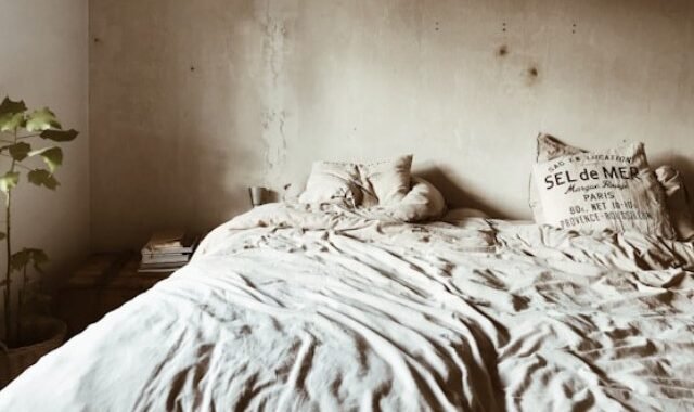 punaises de lit