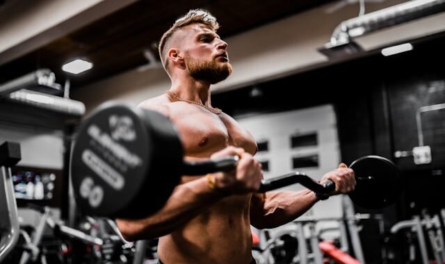 Programme musculation