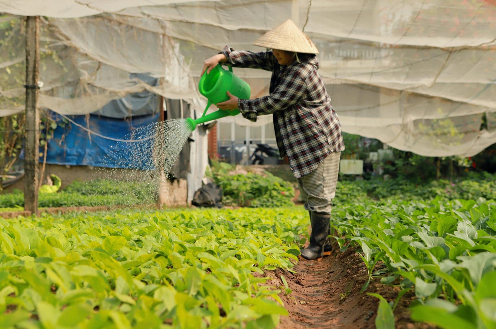 Impact des animaux sur les pratiques agricoles durables