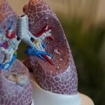 santé pulmonaire