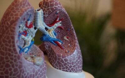 santé pulmonaire