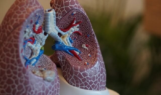 santé pulmonaire