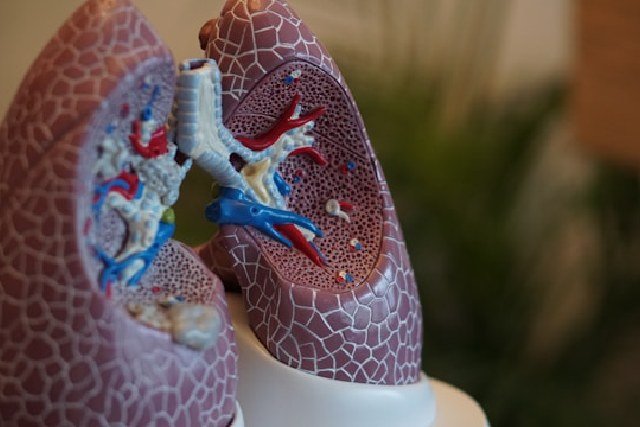 santé pulmonaire