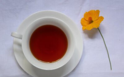 thé rouge
