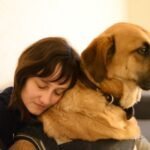 animaux de compagnie