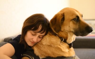 animaux de compagnie